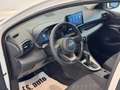 Toyota Yaris hybrid1.5h Active - KM 0  MY2025 - pronta consegna Blanc - thumbnail 5