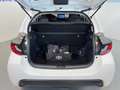 Toyota Yaris hybrid1.5h Active - KM 0  MY2025 - pronta consegna Blanc - thumbnail 14