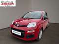 Fiat Panda 1,0 FireFly Hybrid 70 Schwarz - thumbnail 1