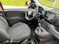 Fiat Panda 1,0 FireFly Hybrid 70 Schwarz - thumbnail 15