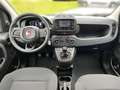 Fiat Panda 1,0 FireFly Hybrid 70 Schwarz - thumbnail 10