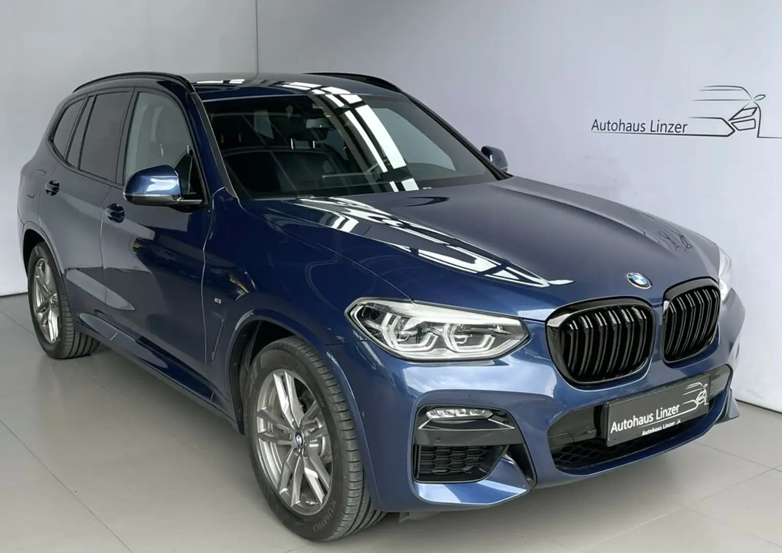 BMW X3 xDrive20d M *LED*CAM*HiFi*Ambiente*NotAsisst*19 Blau - 1