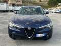 Alfa Romeo Stelvio Stelvio 2.2 t Business rwd 150cv auto Bleu - thumbnail 2