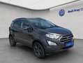 Ford EcoSport ECOSPORT 1.0 EcoBoost TITANIUM NAV SHZ HEIZ.LENK Gri - thumbnail 8