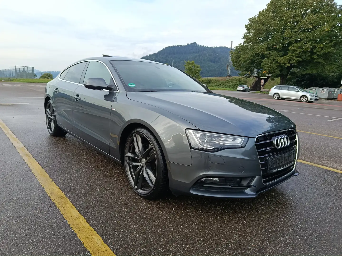 Audi A5 3.0 TDI quattro (160kW) Sline Grau - 1