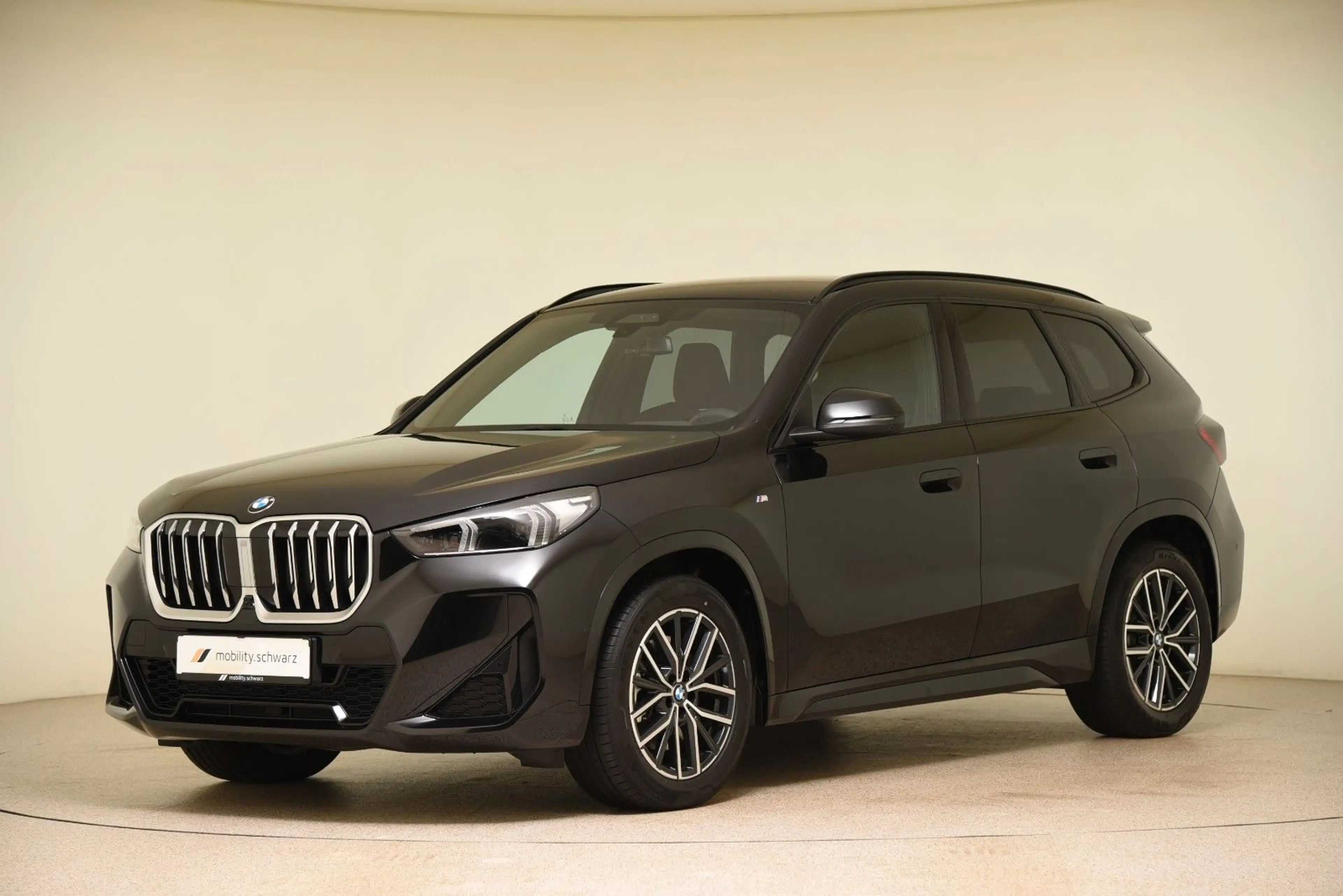 BMW X1 xDrive23d M Sport AHK DrivAssPro HiFi Head-Up