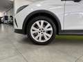 SEAT Arona 1.0 TSI S&S X-Perience Special Edition DSG7 115 Blanco - thumbnail 31