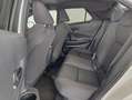 Toyota C-HR 220PH Advance Blanco - thumbnail 9