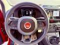 Fiat New Panda ICON - KM 0 10/2025- 5° POSTO - RADIO - SENSORI Rosso - thumbnail 15