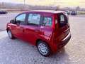 Fiat New Panda ICON - KM 0 10/2025- 5° POSTO - RADIO - SENSORI Rosso - thumbnail 11