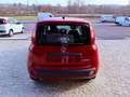Fiat New Panda ICON - KM 0 10/2025- 5° POSTO - RADIO - SENSORI Rosso - thumbnail 5