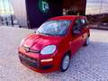 Fiat New Panda ICON - KM 0 10/2025- 5° POSTO - RADIO - SENSORI Rosso - thumbnail 6