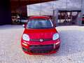 Fiat New Panda ICON - KM 0 10/2025- 5° POSTO - RADIO - SENSORI Rosso - thumbnail 2