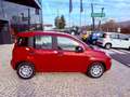 Fiat New Panda ICON - KM 0 10/2025- 5° POSTO - RADIO - SENSORI Rosso - thumbnail 3