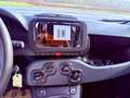Fiat New Panda ICON - KM 0 10/2025- 5° POSTO - RADIO - SENSORI Rosso - thumbnail 14