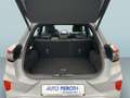 Ford Puma 1.5 EcoBoost ST X Grau - thumbnail 10