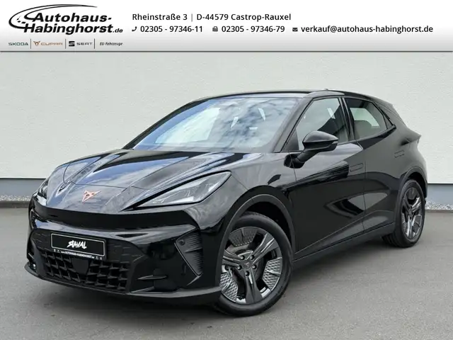 CUPRA Endurance - 52 kWh ACC Kessy FullLink PDC Shz Alu