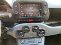 Fiat Panda 1.0 Gse City Live Hybrid Wit - thumbnail 17