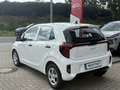 Kia Picanto 1.0 Edition 7 Navigation Weiß - thumbnail 3