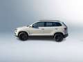 Skoda Karoq Ambition TDI DSG Grau - thumbnail 2