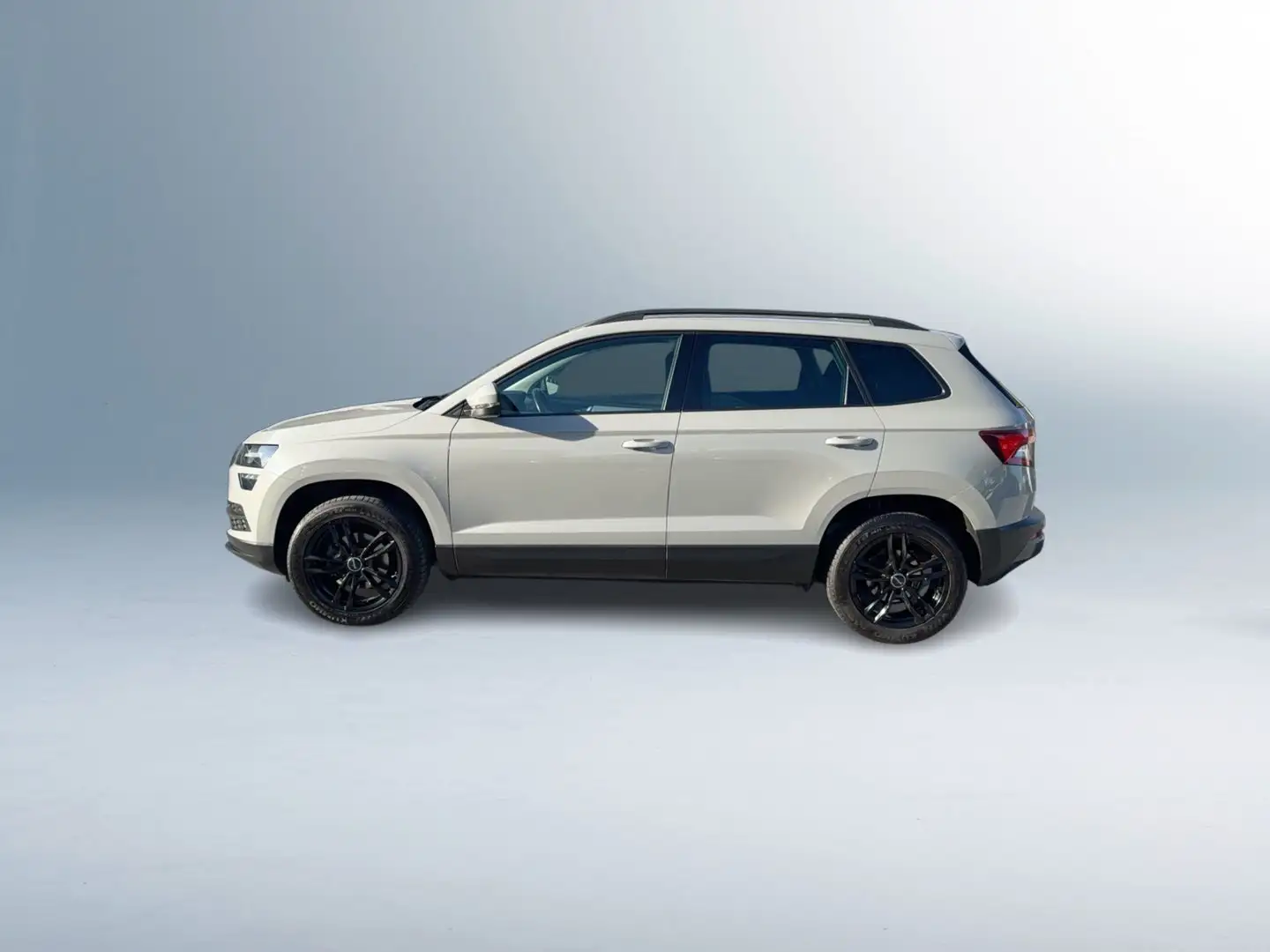 Skoda Karoq Ambition TDI DSG Grau - 2