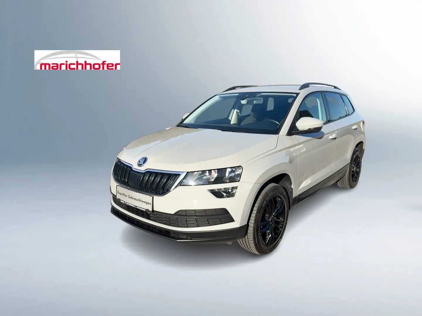 Skoda Karoq Ambition TDI DSG Grau - 1