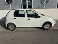 Fiat Punto 5p 1.2 Classic - thumbnail 5
