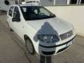 Fiat Punto 5p 1.2 Classic - thumbnail 2