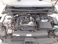 Volkswagen Polo Life DSG 1.0 Benzina 95CV Bianco - thumbnail 13