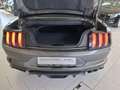 Ford Mustang 5.0 GT CABRIO Limite Edition WRacing EUROPA COC CU Gris - thumbnail 13