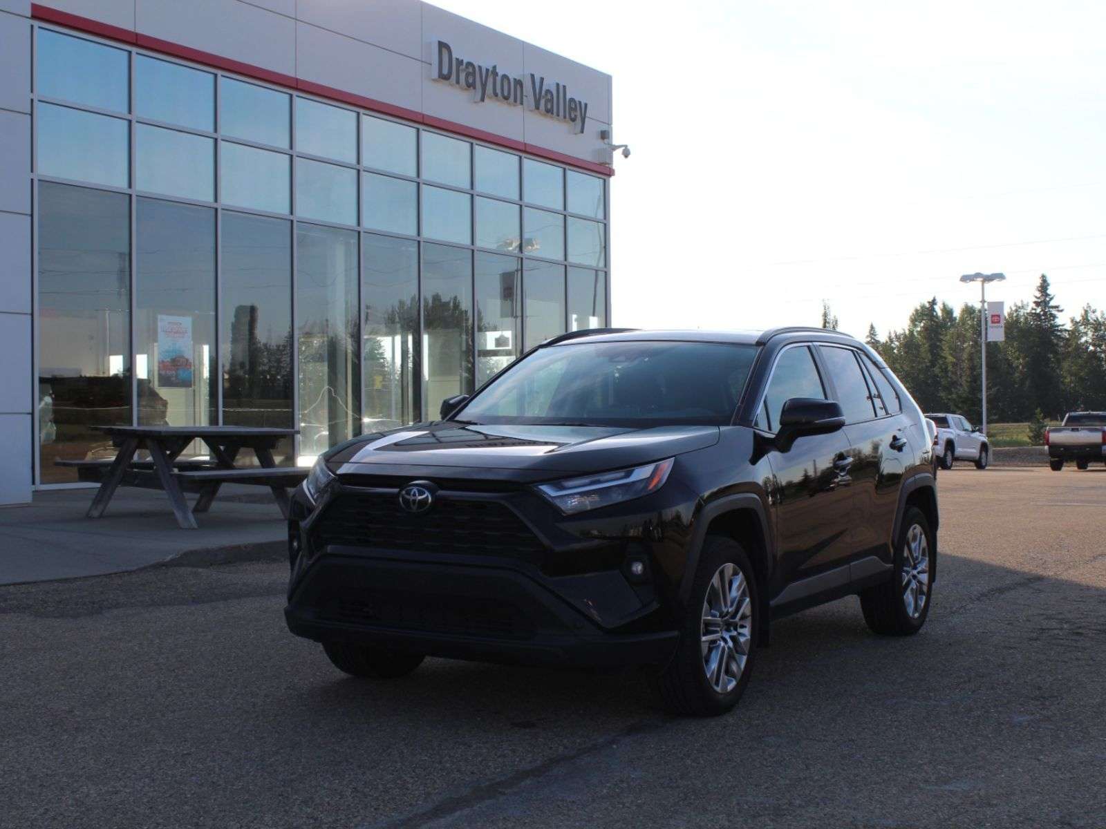 2025 Toyota RAV4 Rav4 XLE Premium AWD Gas