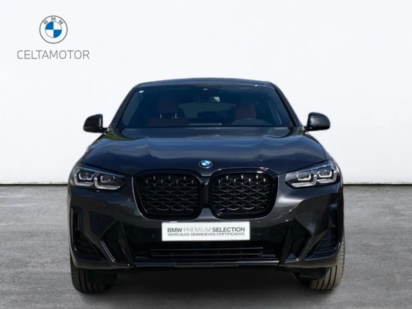 BMW X4 xDrive 20dA xLine Gris - 2
