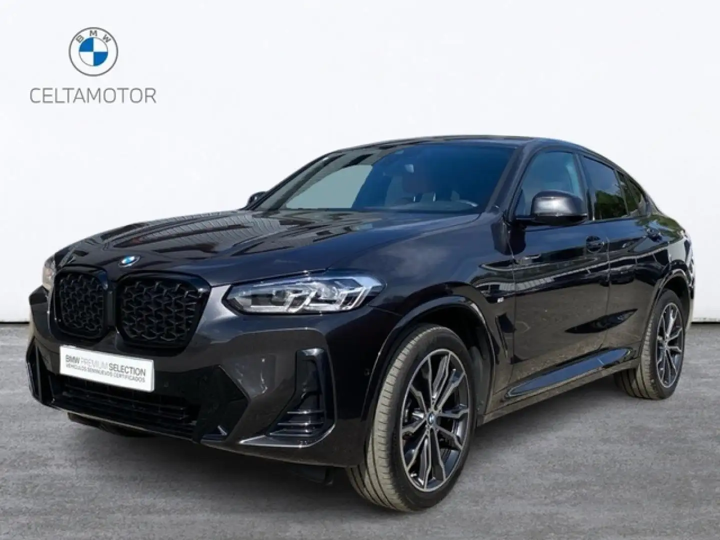 BMW X4 xDrive 20dA xLine Gris - 1