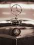 Mercedes-Benz 300 SC prominenter Vorbesitz W 188 II Gris - thumbnail 31