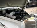 Mercedes-Benz 300 SC prominenter Vorbesitz W 188 II Šedá - thumbnail 12