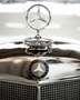 Mercedes-Benz 300 SC prominenter Vorbesitz W 188 II Gris - thumbnail 18