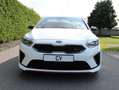 Kia ProCeed / pro_cee'd GT 1.Hand Komfort Paket Performance-Abgasanlage Bianco - thumbnail 2