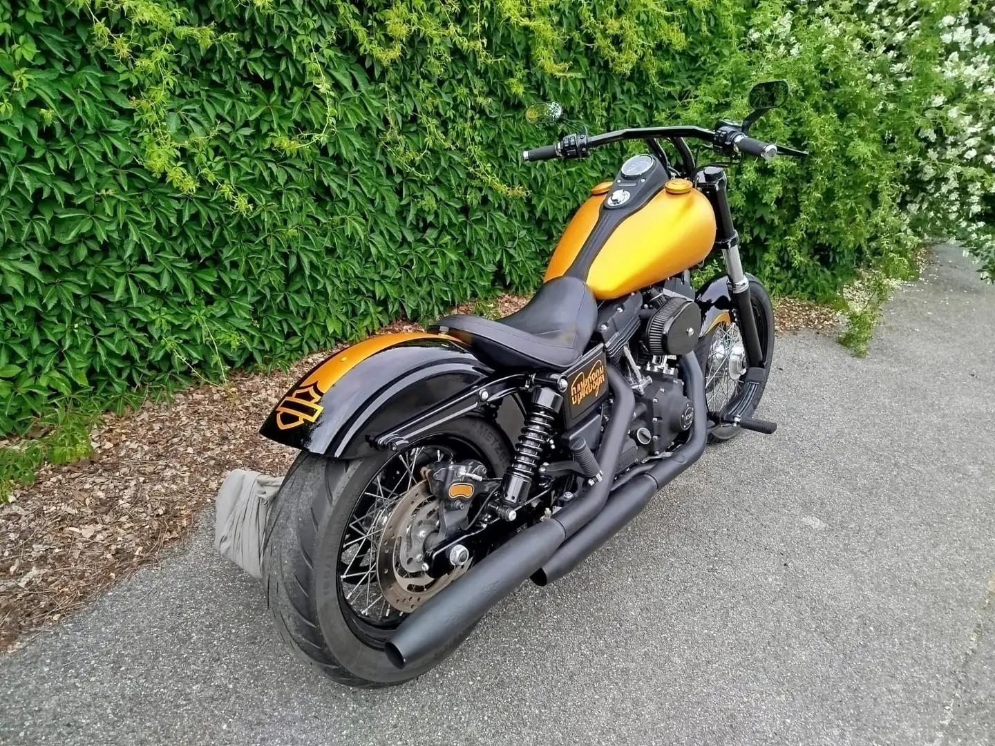 Harley-Davidson Dyna Street Bob Negru - 1