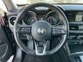 Alfa Romeo Stelvio 2.2 TDI Business RWD 160CV - AUTOCARRO N1 Blu/Azzurro - thumbnail 9