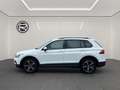 Volkswagen Tiguan 1.4 TSI eHybrid, Life, DSG Weiß - thumbnail 3