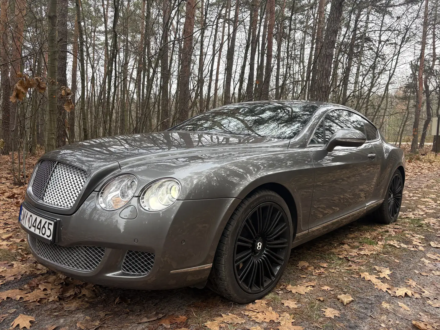 Bentley Continental GT Speed - 2