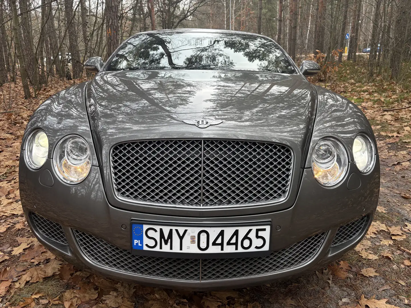 Bentley Continental GT Speed - 1