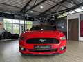 Ford Mustang 2.3 EcoBoost*DEUTSCH*1.HAND*KAMERA* Rot - thumbnail 9