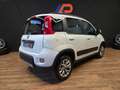 Fiat Panda 1.3 MJT 95 CV S&S 4x4 Bianco - thumbnail 12