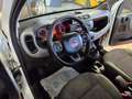 Fiat Panda 1.3 MJT 95 CV S&S 4x4 Bianco - thumbnail 6