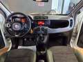 Fiat Panda 1.3 MJT 95 CV S&S 4x4 Bianco - thumbnail 7
