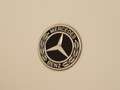 Mercedes-Benz CLA 250 Shooting Brake e Business Solution AMG Limited / P Blanc - thumbnail 34