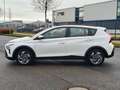 Hyundai BAYON Bayon Trend Mild-Hybrid 2WD*SHZ*RFK*CarPlay* Weiß - thumbnail 2