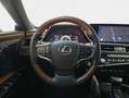 Lexus ES 300 300h Luxury Verde - thumbnail 12