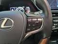 Lexus ES 300 300h Luxury Verde - thumbnail 14
